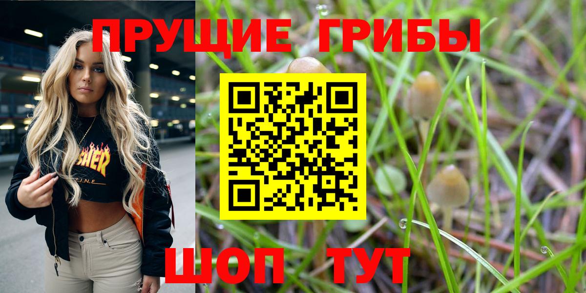 Городец  купить   Вход с VPN  Галлюциногенные грибы ЛСД 