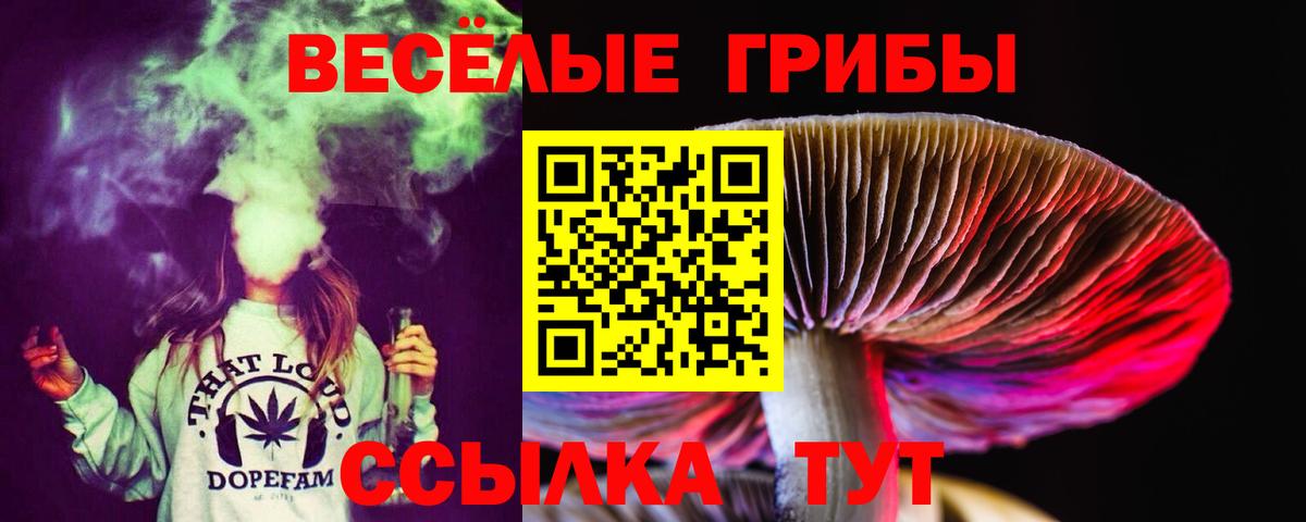 Псилоцибиновые грибы мухоморы Городец
